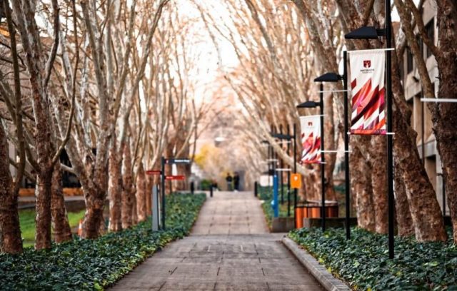 Les meilleures cartes de crédit pour étudiants au Canada en 2019